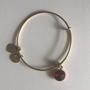 Alex and Ani January Garnet Birthstone Bracelet